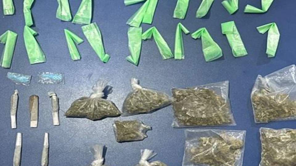 Operativo del Gobierno de Sonora y fuerzas federales asegura narcótico en Cajeme